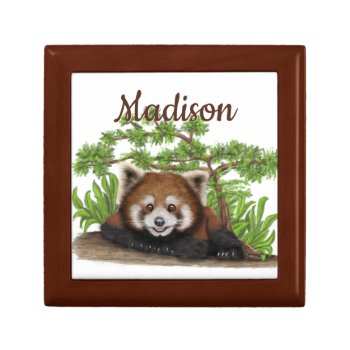 Adorable Red Panda Personalized Gift Box by wasootch at Zazzle