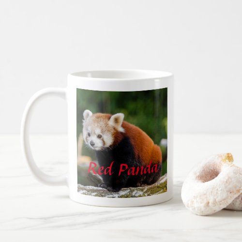 Adorable Red Panda Photography Coffee Mug