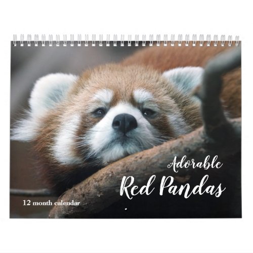 Adorable Red Pandas 2025 Calendar