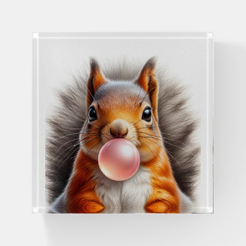 Adorable Red Squirrel Blowing Bubble Gum  Paperweight