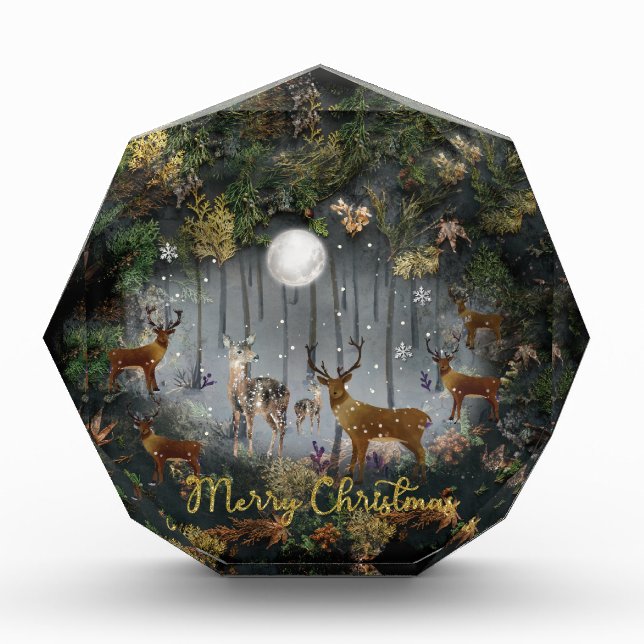 Adorable Reindeer At Night  Acrylic Award (Front)