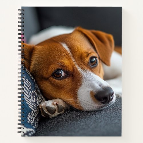 Adorable Resting Dog Notebook