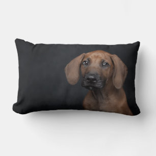 Adorable Rhodesian Ridgeback Puppy Portrait Dog Ph Lumbar Pillow