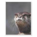 Adorable River Otter Temporary Tattoos