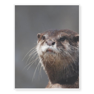 Adorable River Otter Temporary Tattoos