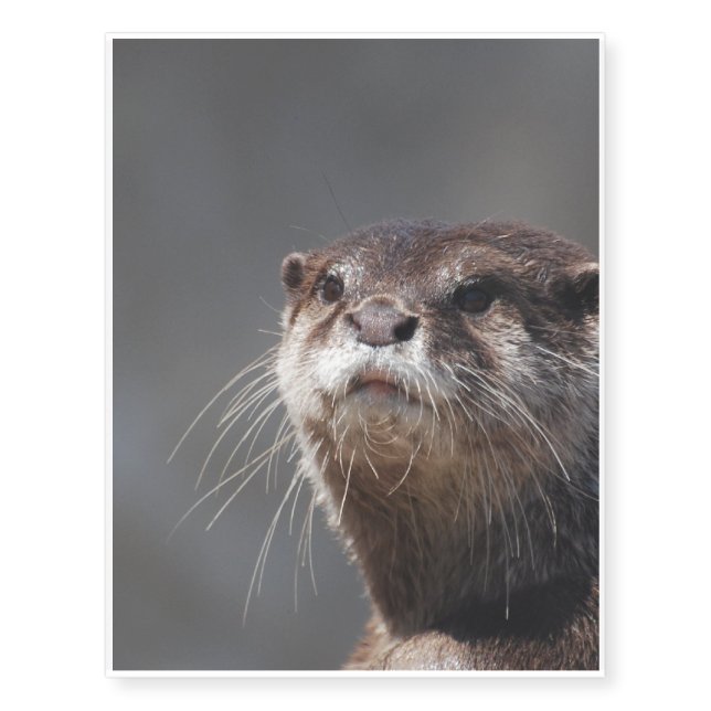 Adorable River Otter Temporary Tattoos (Front)