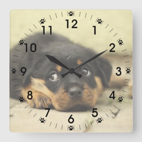 Adorable Rottweiler Puppy Square Wall Clock