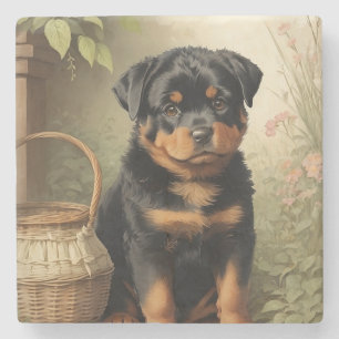 Adorable Rottweiler Stone Coaster