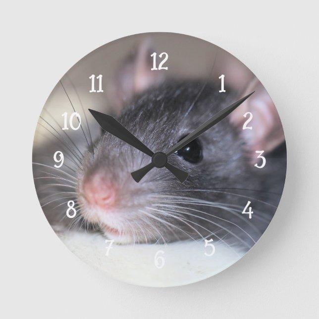 Adorable Round Clock (Front)