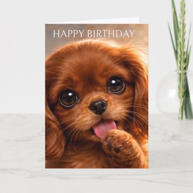 Adorable Ruby Cavalier Spaniel Card (Front)