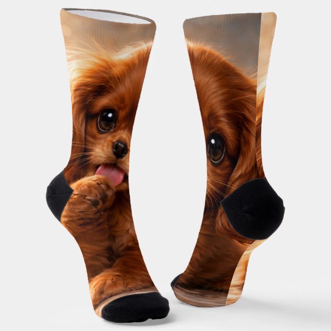 Adorable Ruby Cavalier Spaniel Socks (Angled)