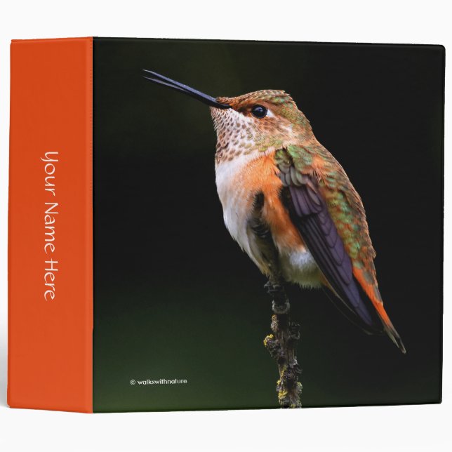 Adorable Rufous Hummingbird on Branch 3 Ring Binder (Front/Spine)
