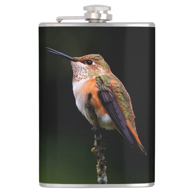 Adorable Rufous Hummingbird on Branch Hip Flask (Front)