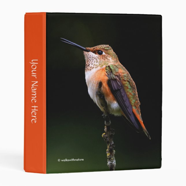 Adorable Rufous Hummingbird on Branch Mini Binder (Front/Spine)