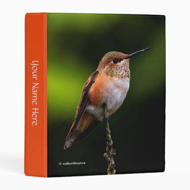 Adorable Rufous Hummingbird on Branch Mini Binder (Front/Spine)