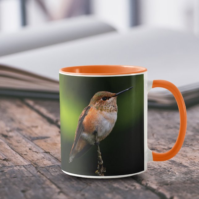 Adorable Rufous Hummingbird on Branch Mug (Cute Rufous Hummingbird on Hybrid Fruit Tree Branch 11 oz Coffee Mug Cover Photo 2.)
