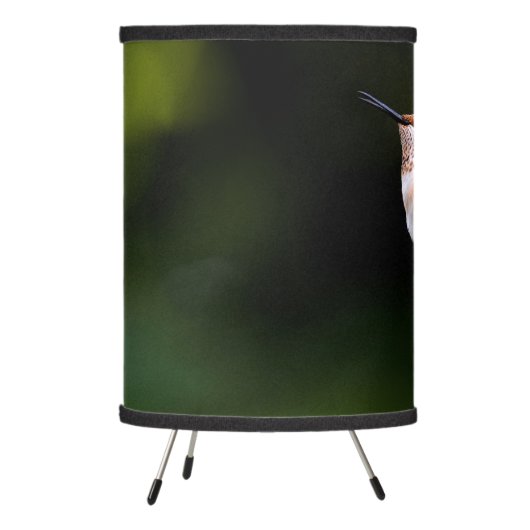 Adorable Rufous Hummingbird on Branch Tripod Lamp (Left)