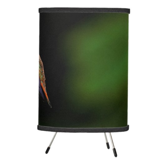 Adorable Rufous Hummingbird on Branch Tripod Lamp (Right)