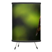 Adorable Rufous Hummingbird on Branch Tripod Lamp (Left)