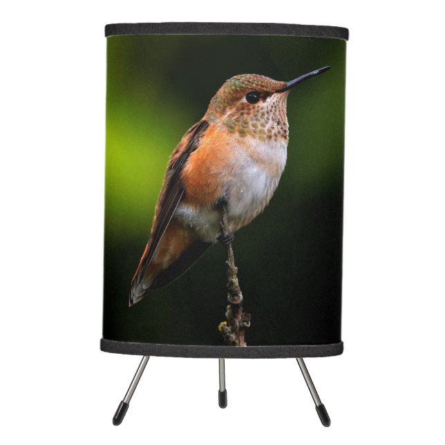 Adorable Rufous Hummingbird on Branch Tripod Lamp (Front)