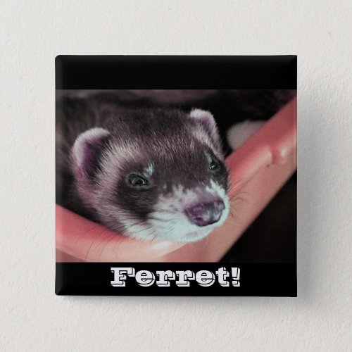 Adorable Sable Ferret Photo Button