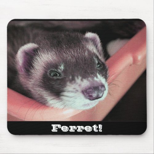 Adorable Sable Ferret Photo Mouse Pad