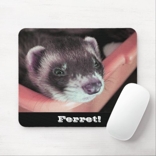 Adorable Sable Ferret Photo Mouse Pad