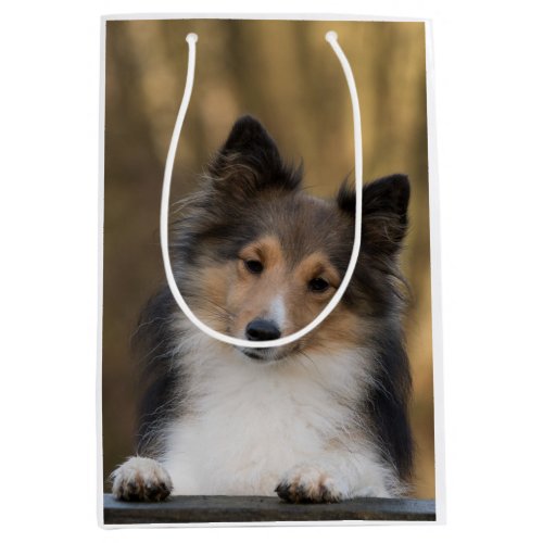 Adorable Sable Sheltie Shetland Sheepdog Medium Gift Bag