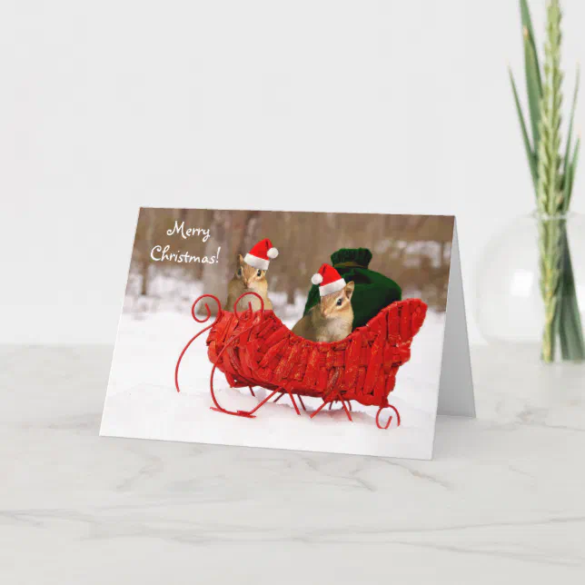 Adorable Santa Baby Chipmunks in Sleigh Card | Zazzle