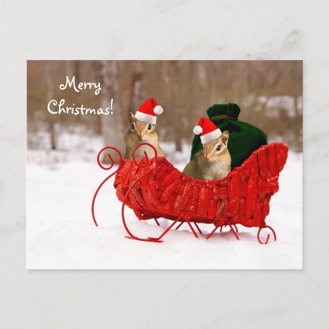 Adorable Santa Baby Chipmunks in Sleigh Postcard (Front)