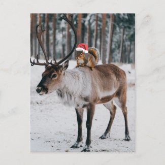 Adorable Santa Squirrel and the Reindeer