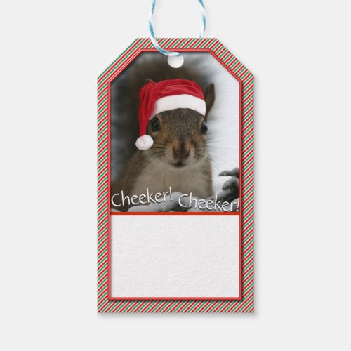 Adorable Santa Squirrel Wearing Santa Hat Gift Tags