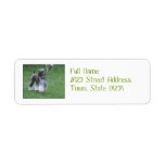 Adorable Schnauzer Label