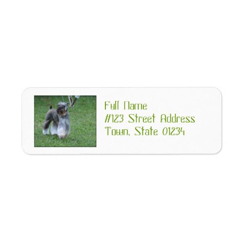 Adorable Schnauzer Label