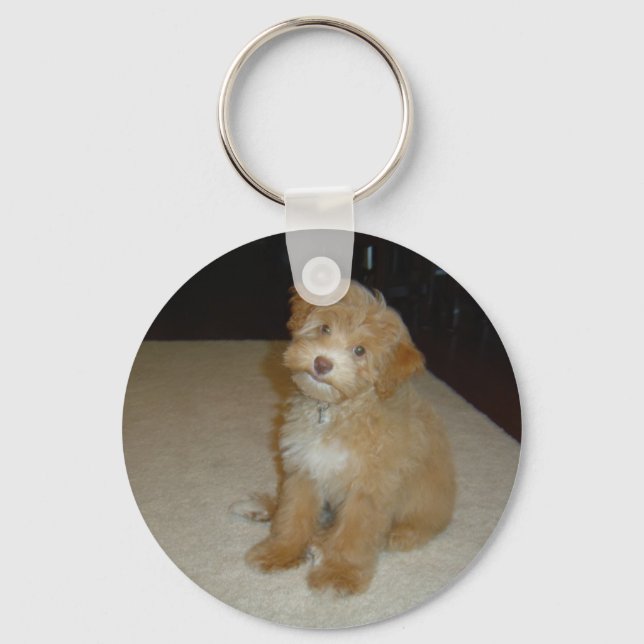 Adorable Schnoodle puppy Keychain (Front)