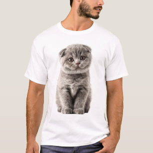 Adorable Scottish Fold Gray Kitten Portrait Men T-Shirt