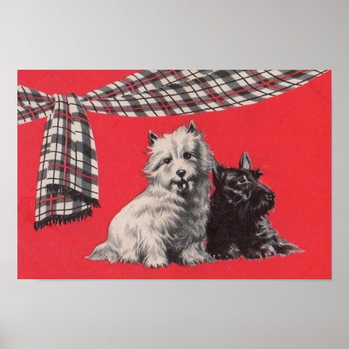 adorable Scottish terriers Poster