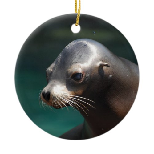 Adorable Sea Lion Ceramic Ornament
