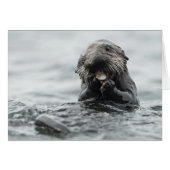 Adorable Sea Otter (Front Horizontal)
