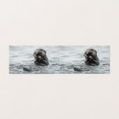 Adorable Sea Otter (Outside Unfolded)