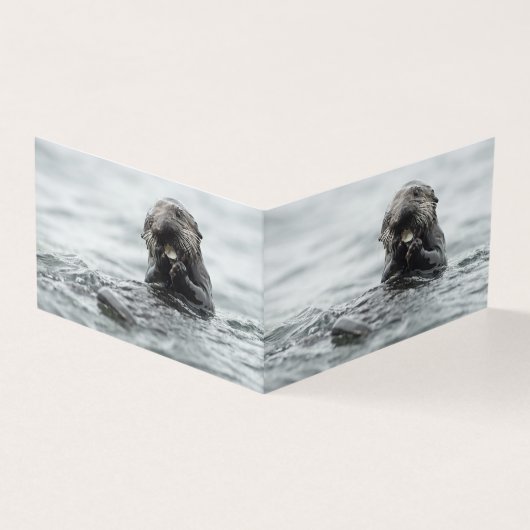 Adorable Sea Otter (Outside)