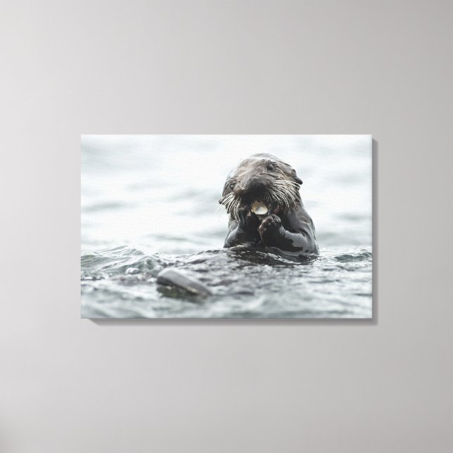 Adorable Sea Otter Canvas Print (Front)