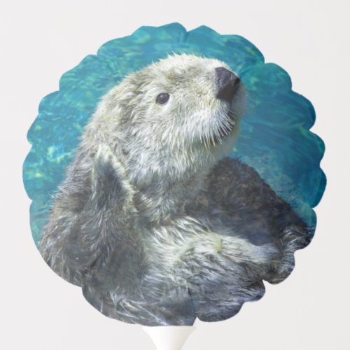 Adorable Sea Otter Cute Blue Water Balloon