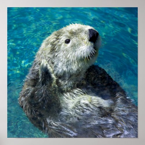 Adorable Sea Otter Cute Blue Water Poster