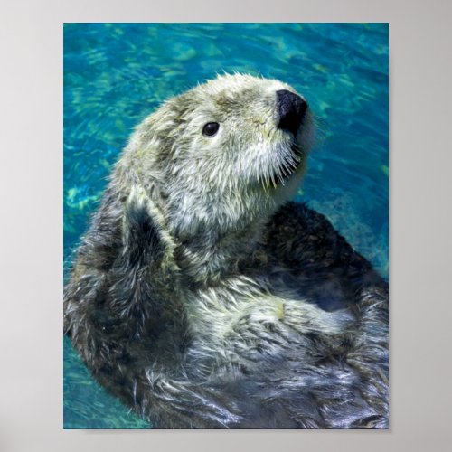 Adorable Sea Otter Cute Blue Water Poster