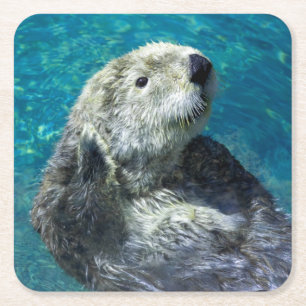 Adorable Sea Otter Cute Blue Water Square Paper Coaster