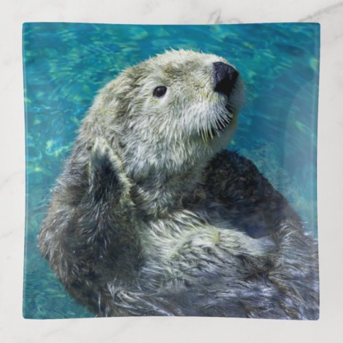 Adorable Sea Otter Cute Blue Water Trinket Tray