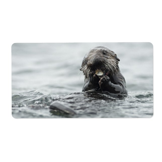 Adorable Sea Otter Label (Front)