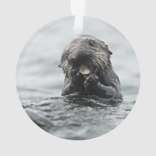 Adorable Sea Otter Ornament