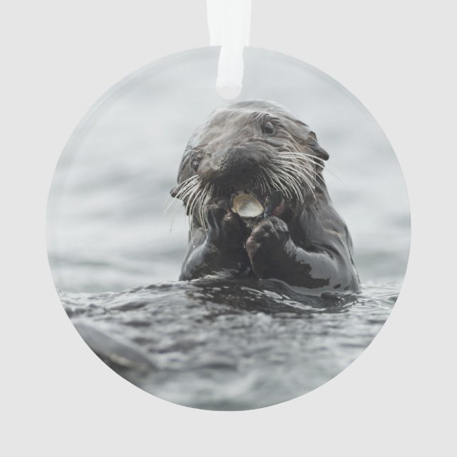 Adorable Sea Otter Ornament (Back)